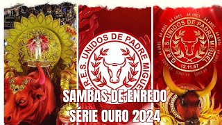 CD SAMBAS DE ENREDO 2024  SÉRIE OURO CARNAVAL DO RIO DE JANEIRO OFICIAL [upl. by Artiek405]