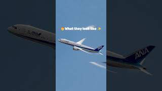 What my friends eat VS me Aviation Edition aviation avgeek plane flight airplane [upl. by Dnar515]