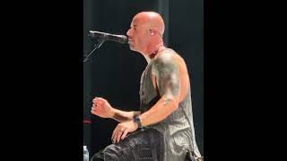 Daughtry  Artificial Live Acoustic [upl. by Browning351]