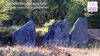 Oldendorfer Totenstatt Mystische Gräber und Heide bei Amelinghausen Lüneburger Heide [upl. by Kcitrap863]