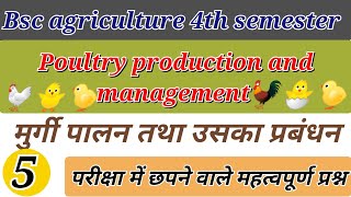 Poultry production and management ll Bsc AG 4th semester poultry production and management question [upl. by Hindorff689]