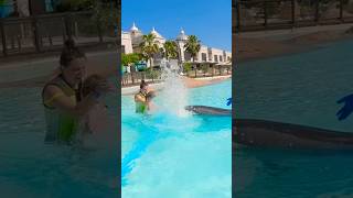 Dolphins splashing water on us and kids it so cute very adorable [upl. by Brook]