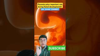 Role of Placenta During foetal development medical placenta foetus medicalstudent [upl. by Haimarej]