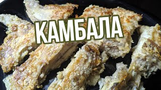 Камбала жареная Простая разделка способ нарезки и жарка на бумаге Все секреты вкусной рыбы [upl. by Awuhsoj732]