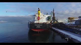 MV Cielo dItalia in Gdynia  dAmico Dry vessel [upl. by Wurst]