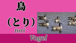 Japanischunterricht 9 〜Vogel〜 [upl. by Behlke]