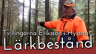 Tvillingarna Eriksson i Hyssna Lärkbestånd [upl. by Ekusuy459]