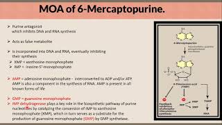 Mechanism of Action of 6 Mercaptopurine in a Nutshell [upl. by Ferrigno]