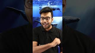 Amazing Discoveries 😮 Why is Whale 🐳 Vomit So Expensive  Suprising Fact ytshorts [upl. by Luise]