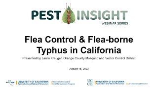 Flea Control amp Fleaborne Typhus in California [upl. by Yeclehc]