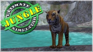 Birth of Our Fierce Tiger Cub • Ultimate Jungle Simulator [upl. by Anglim]