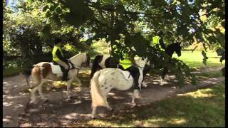 Dixielanders uk at margam park with Martin Clunes [upl. by Aryad]