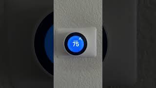 Nest Thermostat Error Code W5 [upl. by Sansen]