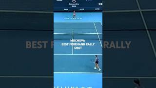 KAROLINA MUCHOVA BEST FOREHAND RALLY SHOT shorts [upl. by Thury323]