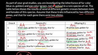 How to solve genotype phenotype crossing problems [upl. by Cutlor]