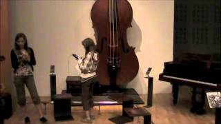 Octobass [upl. by Bevus]