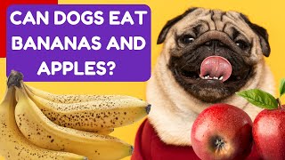 Can Dogs Eat Bananas and Apples Safe Fruits for Your Furry Friend [upl. by Grose]