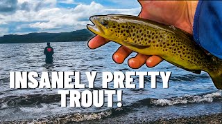 TROUT FISHING on a Scottish Highland Loch 🏴󠁧󠁢󠁳󠁣󠁴󠁿 🎣 4K [upl. by Chaudoin]