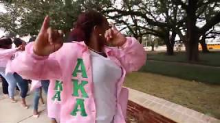 Lambda Omicron Chapter of Alpha Kappa Alpha Sorority Inc  Founders Day 2018 [upl. by Ahsoym]