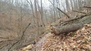 Bernheim Forest hike part 1 [upl. by Hospers]