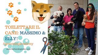 Come toelettare il cane Massimo Scarfi amp Elly [upl. by Anrehs]