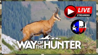 🚨MP Tex LIVE🚨Way of the Hunter [upl. by Egedan]