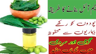 quotHow to make neem oil and its best benefitsquotنیم آئل بنانے کا طریقہ اور اسکے کرشماتی فوائد [upl. by Rimas]