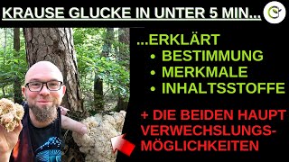 Die Krause Glucke in unter 5 Minuten vorgestellt und erklärt mit Verwechslungsgefahren [upl. by Chesney]