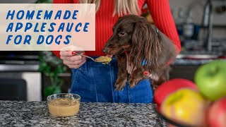 Apple Treats for Dogs Recipe  Can Dogs Eat Applesauce  Dog Eating Apple Sauce  Apple Dog Treats [upl. by Malony]