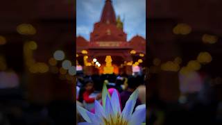 Shrimant Dagdusheth Ganapati 4K Status 2023 🌺🫨 youtubeshorts [upl. by Northey629]