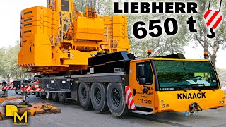 650 ton Heavy lifting Crane video Liebherr 165081 set up with 50m Luffing Jib Downtown 🚧🏗️⚠️⚒️👷 [upl. by Ynolem]