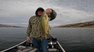 Bass Fishing Lake Berryessa November 2024 [upl. by Aztiley]