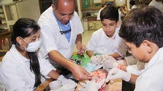 7°D Laboratorio de Biología  Corazonista Barranquilla  Colegio del Sagrado Corazón 2015 [upl. by Devan]