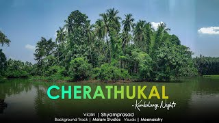 CHERATHUKAL  Kumbalangi Nights  Violin Cover  Shyamprasad [upl. by Nnylhsa]