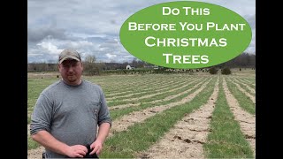 Christmas Tree Farming How we prepare our fields for planting Christmas Trees [upl. by Garett]