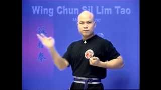 Wing Chun kung fu siu lim tao  form applications Lessons 210 [upl. by Schacker951]