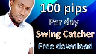 100 Pips Per Day Swing Catcher  Download Free [upl. by Omlesna]