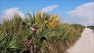 Driving Deep Into The Florida Everglades SouthBlocks [upl. by Tattan]