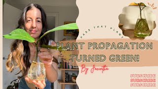 MY WATER PROPAGATIONS TURNED GREEN  Narrated Video  Calming Plant Chores after a Vacation plants [upl. by Thalassa188]