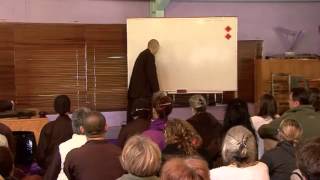 Thich Nhat Hanh May 13th 2012 French with English trans [upl. by Karil634]