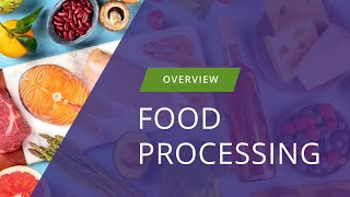 Sterilex Food  Beverage Processing Overview – UPDATED 2024 [upl. by Esilegna]