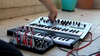 Balcón  Korg Minilogue  Make Noise 0Coast  Arturia Keystep [upl. by Baal827]