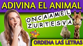 ORDENA las LETRAS y ADIVINA el ANIMAL OCULTO ORDENA las PALABRAS TEST de ANIMALES DIVERTIDO [upl. by Htnnek352]