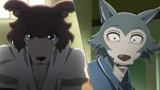 Beastars Legosi Meets Juno [upl. by Edee817]