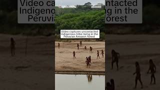 Rare video shows uncontacted indigenous tribe members in Peru [upl. by Laynad]