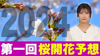 【第一回桜開花予想】2024年の桜の開花は各地とも平年より早く、東京は3月17日予想 [upl. by Yralih]