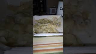 Eating Michelinas Fettuccine Alfredo With Chicken amp Broccoli Dbn MI 10124 [upl. by Ieppet]