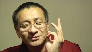 INTERVIEW OF DZOGCHEN PONLOP RINPOCHE [upl. by Kristan]