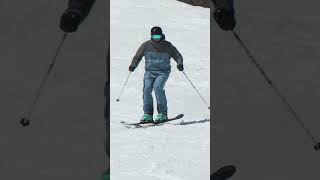 2025 Mens 110 mm Freeride Ski Comparison Teaser with SkiEssentialscom [upl. by Emiatej]