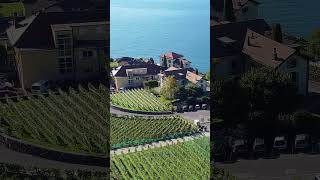 Lavaux Vineyard Terraces in Switzerland [upl. by Averyl]